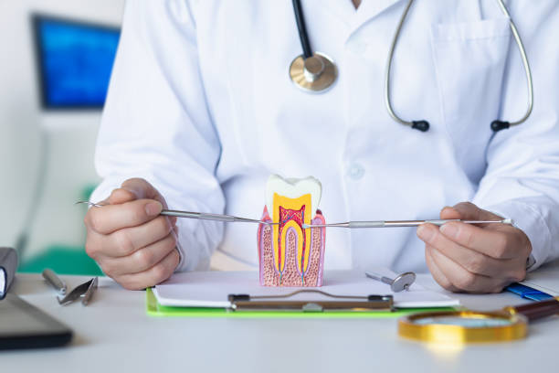 Best Emergency Treatment for Toothache in Toftrees, PA